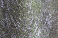 Howtel fibreglass roof work